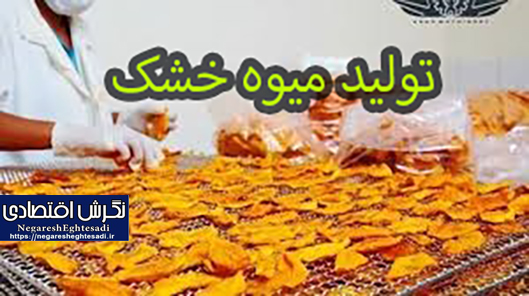 مقاله-در-مورد-تولید-میوه-خشک