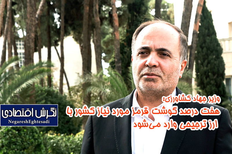 وزیر جهاد کشاورزی: هفت درصد گوشت قرمز مورد نیاز کشور با ارز ترجیحی وارد می‌شود