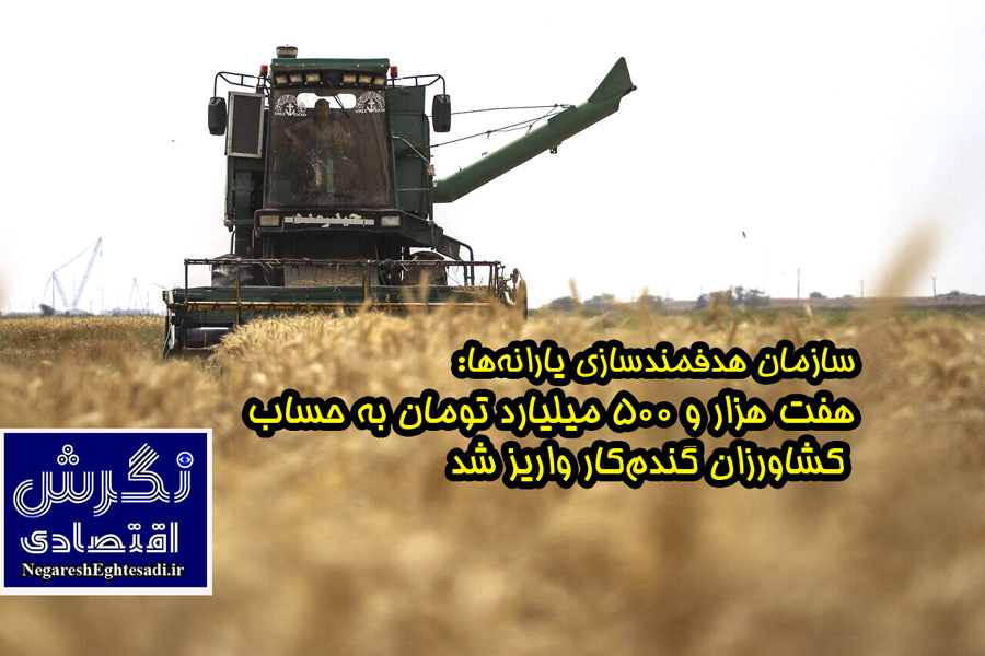 سازمان هدفمندسازی یارانه‌ها: هفت هزار و ۵۰۰ میلیارد تومان به حساب کشاورزان گندم‌کار واریز شد