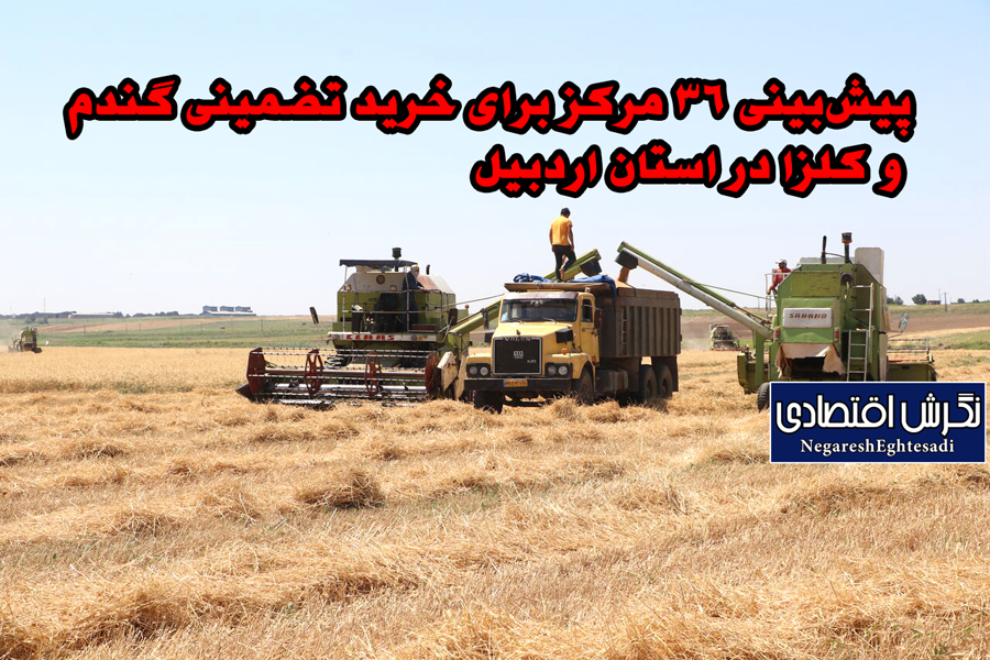 پیش‌بینی ۳۶ مرکز برای خرید تضمینی گندم و کلزا در استان اردبیل