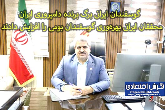 گوسفندان ایرانی برگ برنده دامپروری ایران