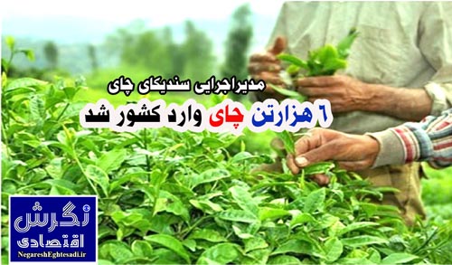 ۶ هزارتن چای وارد کشور شد