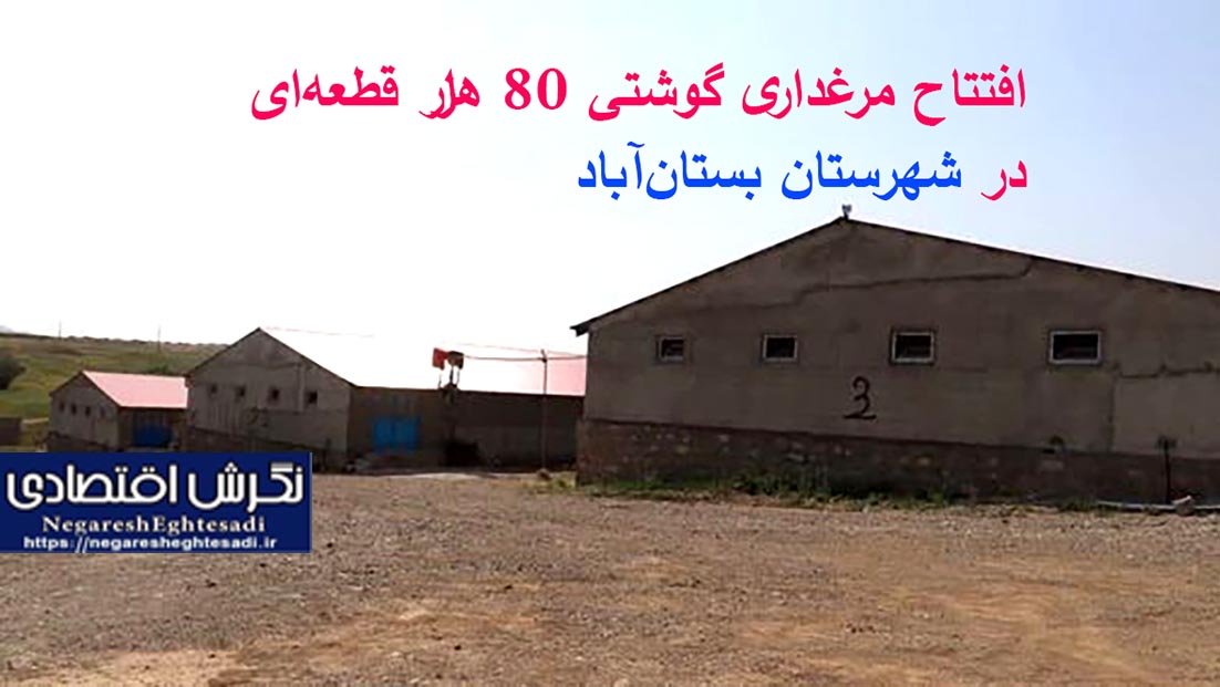 افتتاح مرغداری گوشتی 80 هزار قطعه‌ای در شهرستان بستان‌آباد