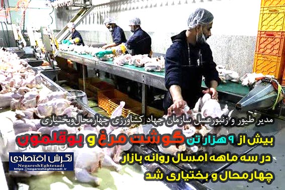 بیش از 9 هزار تن گوشت مرغ و بوقلمون در سه ماهه امسال روانه بازار چهارمحال و بختیاری شد