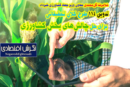 معاون وزیر جهاد کشاورزی خبرداد: تدوین ۱۱۴ طرح کلان تحقیقاتی برای حل چالش‌های بخش کشاورزی
