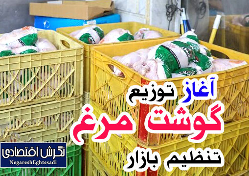 توزیع گوشت مرغ تنظیم بازار آغاز شد