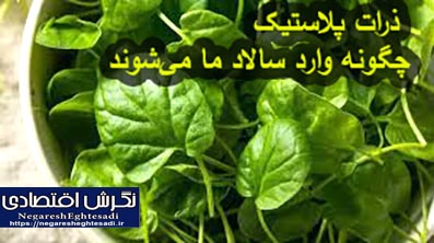 ذرات پلاستیک چگونه وارد سالاد ما می‌شوند