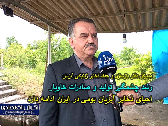 رشد چشمگیر تولید و صادرات خاویار/ احیای ذخایر آبزیان بومی در ایران ادامه دارد