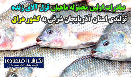 صادرات اولین محموله ماهیان قزل آلای زنده تولیدی استان آذربایجان شرقی به کشور عراق
