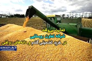 ۷۰ درصد از مطالبات کشاورزان پرداخت شده است