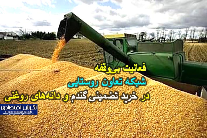 ۷۰ درصد از مطالبات کشاورزان پرداخت شده است