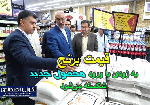 قیمت برنج به زودی با ورود محصول جدید شکسته می‌شود