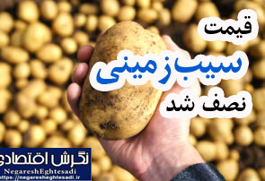 قیمت سیب‌زمینی نصف شد