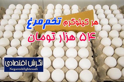 هر کیلوگرم تخم‌مرغ ۵۴ هزار تومان شد