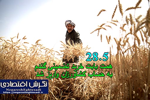 ۲۸.۵ همت بابت خرید تضمینی گندم به حساب کشاورزان واریز شد