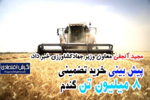 مجید آنجفی معاون وزیر جهادکشاورزی خبر داد:
پیش بینی خرید تضمینی ۸ میلیون تن گندم