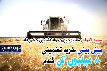 مجید آنجفی معاون وزیر جهادکشاورزی خبر داد: پیش بینی خرید تضمینی ۸ میلیون تن گندم