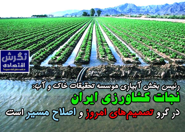 رئیس بخش آبیاری موسسه تحقیقات خاک و آب: نجات کشاورزی ایران در گرو تصمیم‌های امروز و اصلاح مسیر است