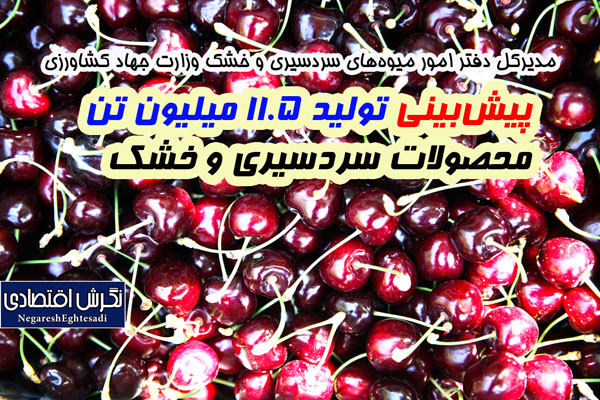 پیش‌بینی تولید ۱۱.۵ میلیون تن محصولات سردسیری و خشک