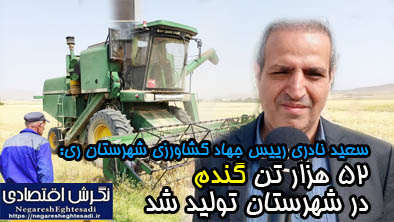 سعید نادری رییس جهاد کشاورزی شهرستان ری: ۵۲ هزار تن گندم در شهرستان تولید شد