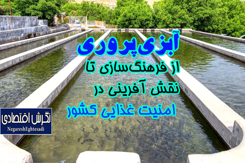 آبزی‌پروری از فرهنگ‌سازی تا نقش‌ آفرینی در امنیت غذایی کشور