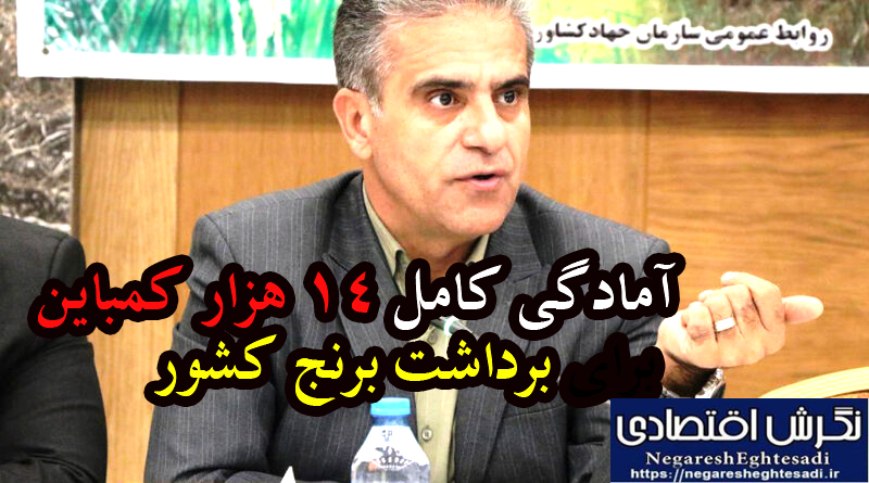 آمادگی کامل ۱۴ هزار کمباین برای برداشت برنج کشور