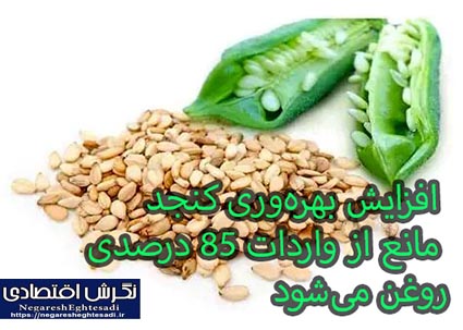 افزایش بهره‌وری کنجد مانع از واردات 85 درصدی روغن می‌شود