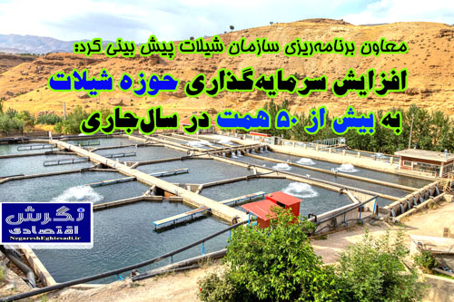افزایش سرمایه‌گذاری حوزه شیلات به بیش از ۵۰ همت در سال‌جاری