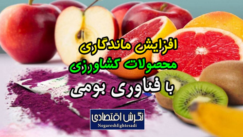 افزایش ماندگاری محصولات کشاورزی با فناوری بومی