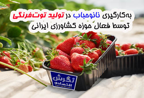 به‌کارگیری نانوحباب در تولید توت‌فرنگی توسط فعال حوزه کشاورزی ایرانی