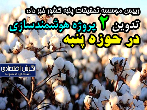 رییس موسسه تحقیقات پنبه کشور خبر داد: تدوین ۲ پروژه هوشمندسازی در حوزه پنبه