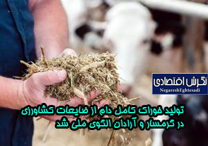 تولید خوراک کامل دام از ضایعات کشاورزی در گرمسار و آرادان الگوی ملی شد