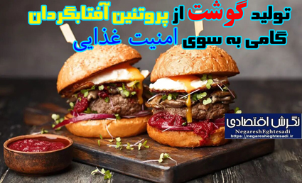 تولید گوشت از پروتئین آفتابگردان؛ گامی به سوی امنیت غذایی