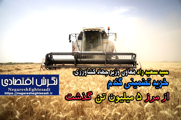 خرید تضمینی گندم از مرز ۵ میلیون تن گذشت