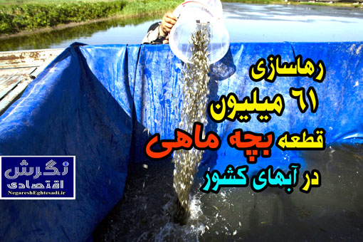 رهاسازی ۶۱ میلیون قطعه بچه ماهی در آبهای کشور