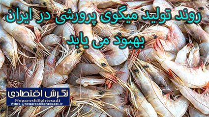  تاکید بر آموزش و اقدامات مدیریتی