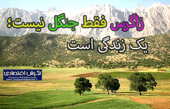 زاگرس فقط جنگل نیست؛ یک زندگی است احیای زاگرس با مردم