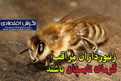 زنبورداران مراقب گرمای تابستان باشند