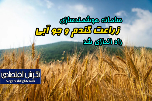 سامانه هوشمندسازی زراعت گندم و جو آبی راه اندازی شد
