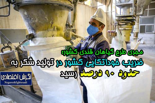 مجری طرح گیاهان قندی کشور: ضریب خوداتکایی کشور در تولید شکر به حدود ۹۰ درصد رسید
