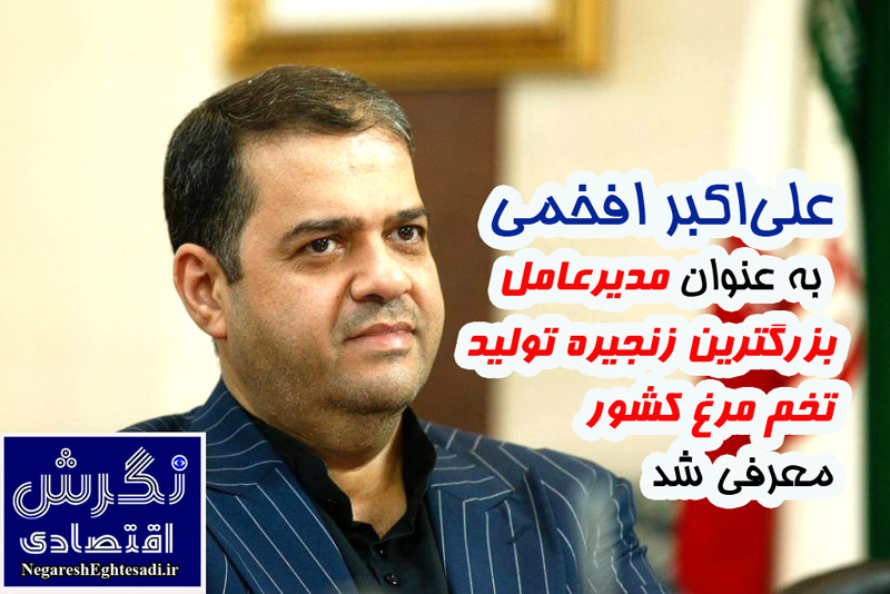 علی‌اکبر افخمی به عنوان مدیرعامل بزرگترین زنجیره تولید تخم مرغ کشور معرفی شد