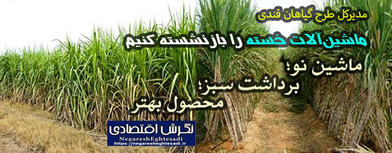 مدیرکل طرح گیاهان قندی: ماشین‌آلات خسته را بازنشسته کنیم  ماشین نو؛ برداشت سبز؛ محصول بهتر