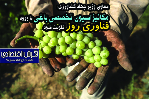 معاون وزیر جهاد کشاورزی: مکانیزاسیون تخصصی باغی با ورود فناوری روز تقویت شود