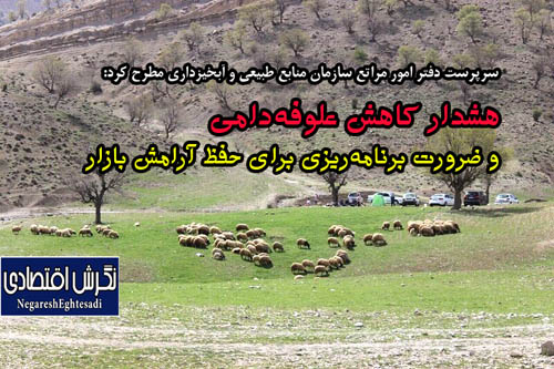 هشدار کاهش علوفه‌دامی و ضرورت برنامه‌ریزی برای حفظ آرامش بازار