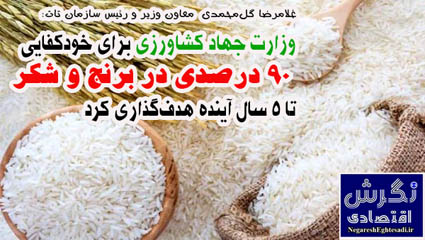 وزارت جهاد کشاورزی برای خودکفایی ۹۰ درصدی در برنج و شکر تا ۵ سال آینده هدف‌گذاری کرد