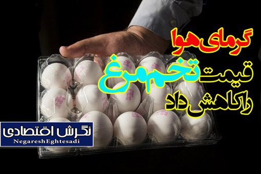 گرمای هوا قیمت تخم مرغ را کاهش داد