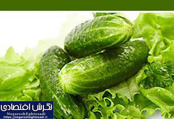 علت نوسان قیمت خیار و کاهو در بازار چیست؟