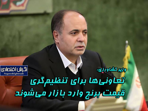 وزیر کشاورزی: تعاونی‌ها برای تنظیم‌گری قیمت برنج وارد بازار می‌شوند