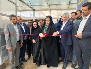 نخستین گلخانه تمام مکانیزه نشاء استان یزد به بهره‌برداری رسید