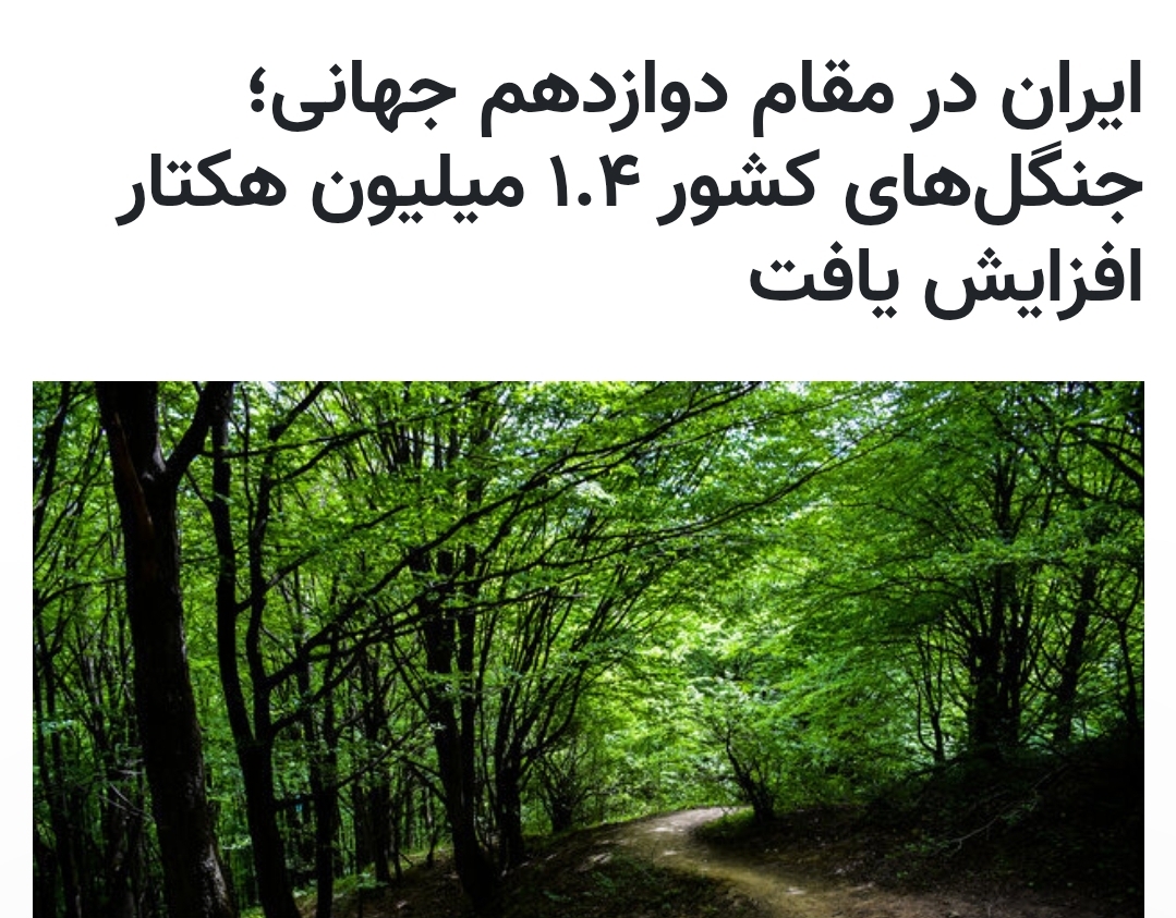 ایران در مقام دوازدهم جهانی؛جنگل‌های کشور ۱.۴ میلیون هکتار افزایش یافت